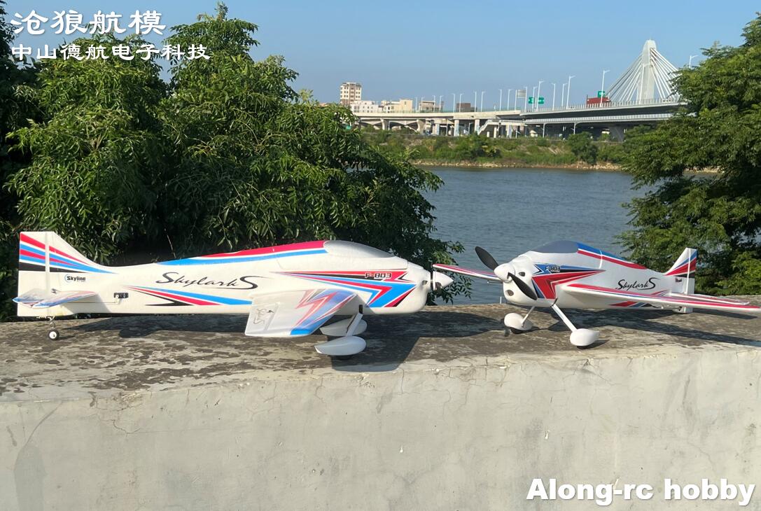 F803  F3A Skylarks 1000mm Wing - Outdoor Sport Hobbies 评论和价格
